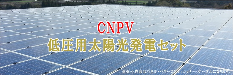 CNPV_pbP[W